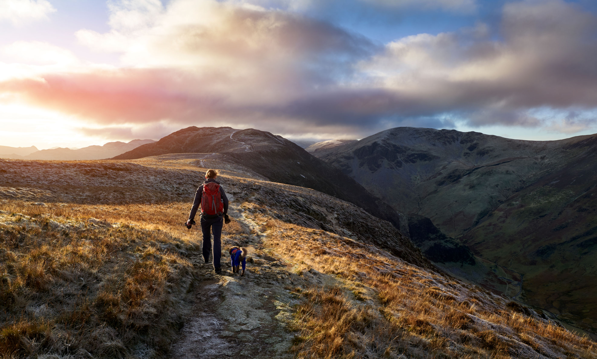 How much will my pension increase by in 2025?
